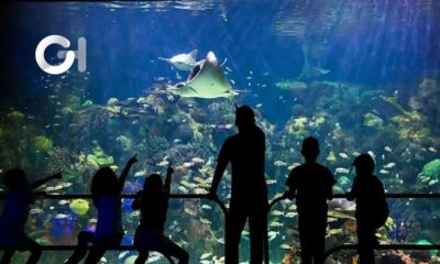El Aquarium de Veracruz listo para recibir visitantes en estas vacaciones decembrinas